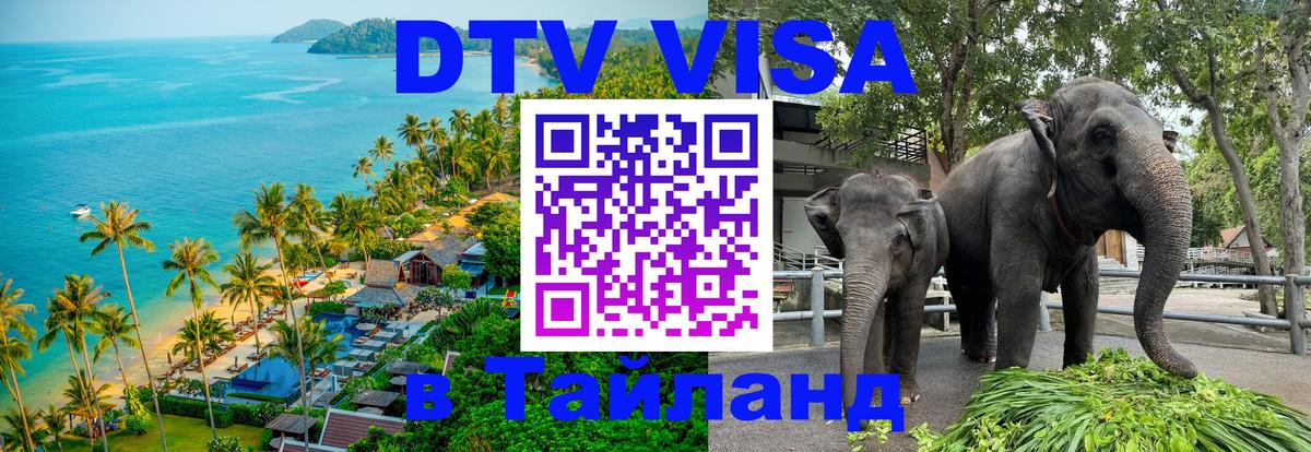 Оформление DTV визы под ключ: стоимость и тарифы, только загранпаспорт - Астана 